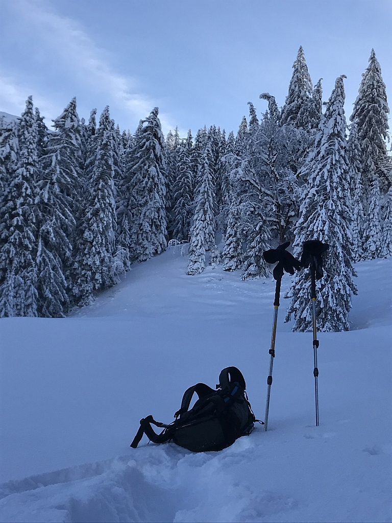 02_16. Jan 21_SAC Schneeschuhtour Schwarzsee (103).jpg